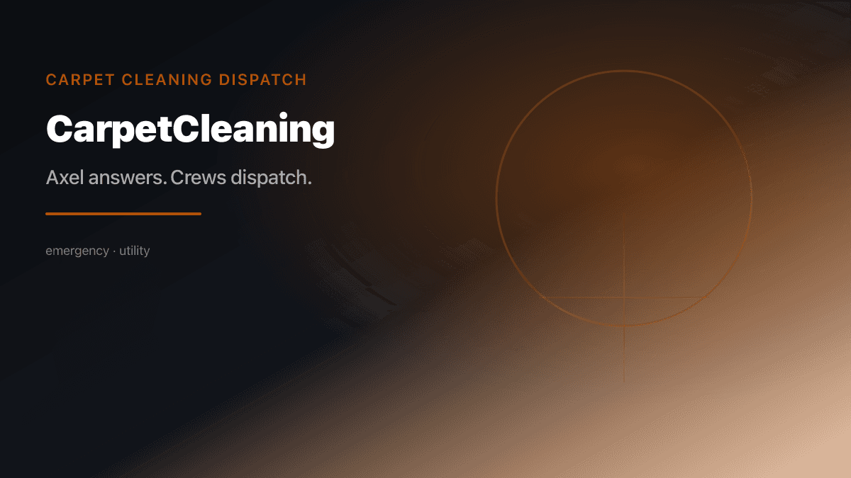 Carpet Cleaning industry scene
